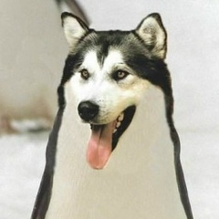 Асет Махамбетов, 30.06, Талдыкорган