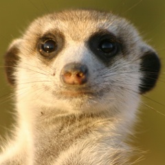 Николай Иванов, 19.12, Казань