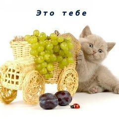 Милена Воробьева, 02.05