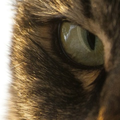 Тимур Гусманов, 12.08.1991, Алматы