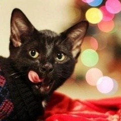 Анастасия Полумиева, 14.07.1979, Череповец