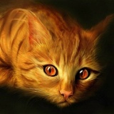 Сергей Матсон, 27.10.1981, Екатеринбург