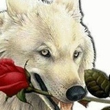 Султан Чечен, 27.01, Казань