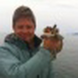 Евгений Лубнин, Санкт-Петербург