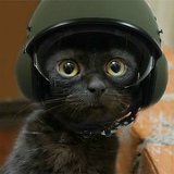 Анатолий Яшник, Астана