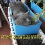Александр Шелковских, 01.02, Магнитогорск