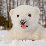 Кирилл Краснокутский, 13.04.1999, Москва