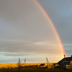 Денис Есипов, Воронеж