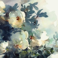 Марина Ласаева, Санкт-Петербург