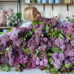 Алиса Касильяс, 17.12, Москва