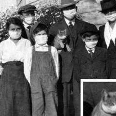 Талгат Аким, 24.04.1989, Павлодар