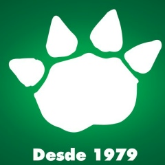 André Vital, 30.07.1993, Fortaleza