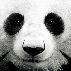 Татьяна Аникеева, 18.02.1992, Москва