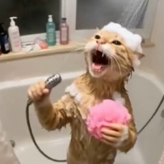 Ирина Пескишева, Санкт-Петербург