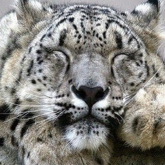 Миша Медведев, 01.06