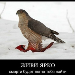 Вася Питерский, 26.06.1983, Бердянск