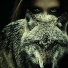 Дина Шугушева, 31.12, Нальчик