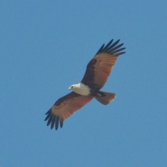 Александра Задорожная, 10.07, Санкт-Петербург