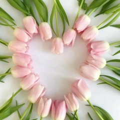 Айдана Тулегенова, 13.11.1995, Туркестан