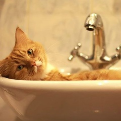 Павел Шептунов, 02.08, Санкт-Петербург