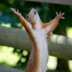 Диана Валериевна, 27.05.1987, Киев