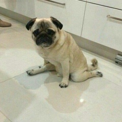 Витя Бабушкин