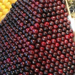 Edige Ospanov, 30.01