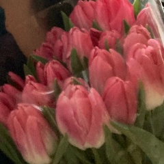 Альмира Новая, 17.08, Саранск