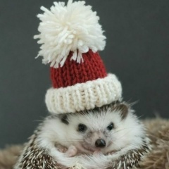 Andrey Efimenko, 24.05.1978, Надым