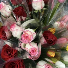 Балнура Болыбаева, Алматы