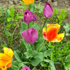 Мария Шаповалова, 20.03, Алматы