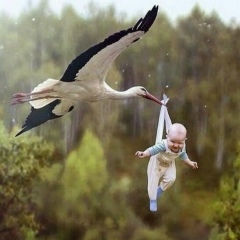 Алмаз Шагиев, 31.05