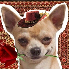 Никита Киселёв, 02.01.1989, Павлоград