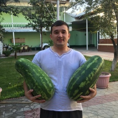 Нурали Абдуллаев, Москва