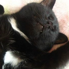 Мария Григорьева, 25.08.1984, Белгород