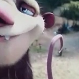 Мухамед Малухов, 22.07.1991, Нальчик