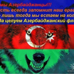 Elnur Mamedov, Новосибирск
