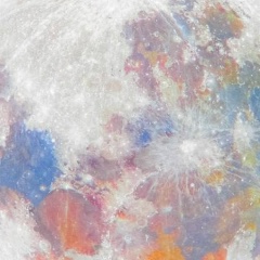 Елена Акуленко, Москва