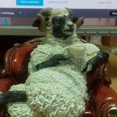 Женя Калушка, 24.05.1989, Киев