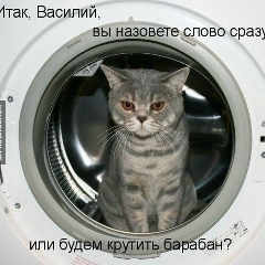 Котяра Юморист, 03.01.1988, Мариуполь