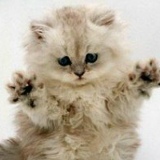 Элианора Севил, 06.06, New York City