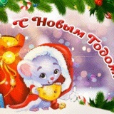 Рамина Карат, 20.04, Houston