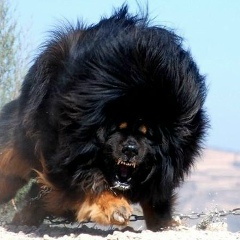 Максим Луков, 02.11.1987, Чебоксары