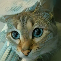 Евгений Ященко, 15.06.1973