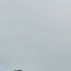 Алексей Буртный, 02.12.1987, Москва