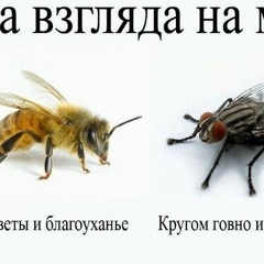 Инсан Адамов