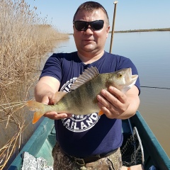 Константин Харитонов, 26.02.1975, Нижний Новгород