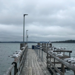 Madina Maratovna, 18.03