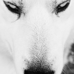 Oleg Bezrukov, 25.03.1983, Москва