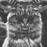 Максим Лазарук, 16.04.1989, Москва